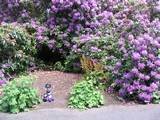 Relaxing in Kew Gardens