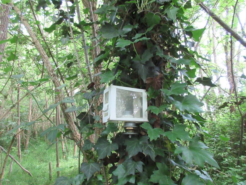 electric geocache
